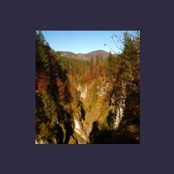 2012-10-20_Fall_AQUILA (020)1b.JPG